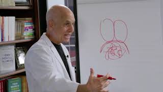 How to Break a Panic Attack in 2 Minutes  Dr Daniel Amen and Nikki Leigh panicattack [upl. by Lunn]