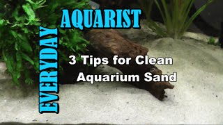 3 Tips for Clean Aquarium Sand [upl. by Pandich223]