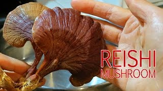 How To Make Reishi Mushroom Tea Ling Chi Ling Zhi [upl. by Olrac]