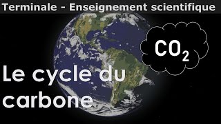 Le cycle du carbone  Enseignement scientifique  Terminale [upl. by Etnaihc]