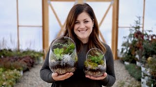 How to Make A Terrarium Full Version  Garden Answer [upl. by Hehre696]