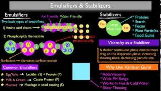 How Emulsifiers and Stabilizers Work [upl. by Gladine]