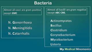 Gram Positive amp Negative Bacteria  My Medical Mnemonics [upl. by Oiluj]