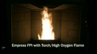 Pellet Stove Flame Characteristics Enviro Empress [upl. by Aelat442]