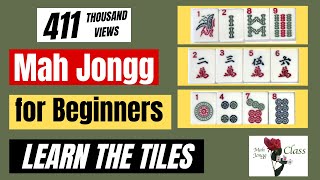 MAH JONGG for Beginners 11  American  Learning the Tiles NMJL Lessons How to Play Mahj [upl. by Vernen]