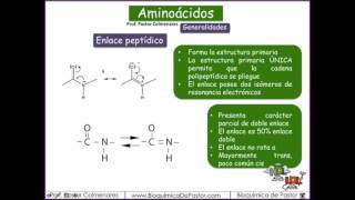 Aminoácidos Generalidades  Parte I [upl. by Ashelman950]