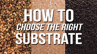 HOW TO Choose an Aquarium Substrate [upl. by Hassi]