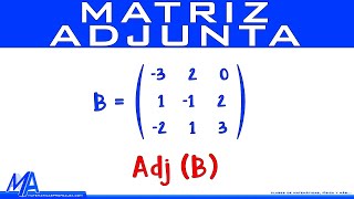 Matriz adjunta [upl. by Imar425]