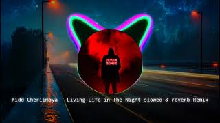 Sierra Kidd  Cheriimoya  Living Life In The Night slowed amp bass boosted [upl. by Nosnej196]