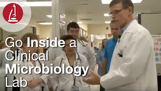 Go Inside a Clinical Microbiology Lab [upl. by Kessiah]