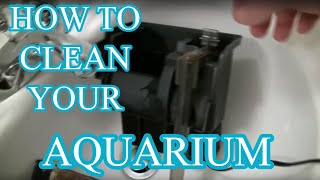 How to clean an aquarium  Beginners guide [upl. by Orling292]