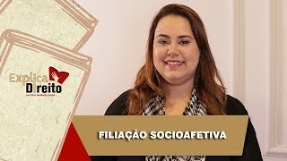 Explica Direito Filiação Socioafetiva  2019 [upl. by Streeter]