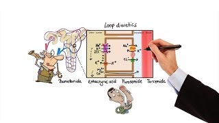 Pharmacology  DIURETICS MADE EASY [upl. by Suivatal]