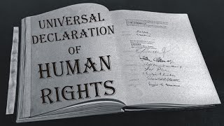 Universal Declaration of Human Rights  UDHR Law Guru [upl. by Orlosky368]