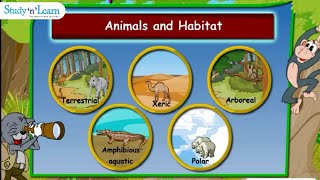 Adaptations in Animals  Habitats  Terrestrial Aquatic  Class 4 [upl. by Onaicilef266]