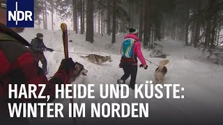 Erlebnis Winterzauber  die nordstory  NDR Doku [upl. by Lienaj]