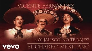 Vicente Fernández  ¡Ay Jalisco No Te Rajes Cover Audio [upl. by Enrak]