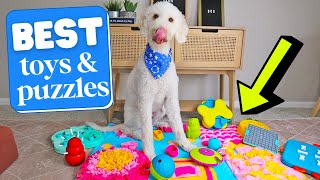 BEST Enrichment Toys amp Puzzles 👉 REVIEWED [upl. by Inal775]