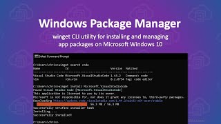 A Look at winget Windows Package Manager for Windows 10 [upl. by Johppa391]