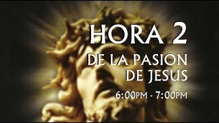 02 de 24 I Horas de la Pasión de Jesús Luisa Piccarreta Divina Voluntad [upl. by Rus]