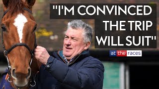 2024 Cheltenham Festival contenders  PAUL NICHOLLS [upl. by Idnarb]