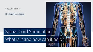 View spinal motion like a movie — Vertebral Motion Analysis VMA for Lumbar spine [upl. by Malilliw]