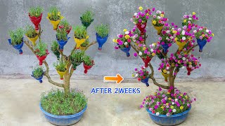 DIY beautiful Portulaca MossRose flower garden on dry branches  Ideas Creative [upl. by Guenzi]