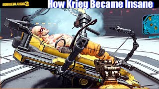 Borderlands Krieg Skill Tree and Gear Guide [upl. by Esahc]