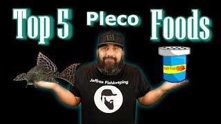 My Top 5 Favorite Pleco Foods [upl. by Savill122]