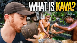 What is KAVA The Mysterious Drink of the Pacific [upl. by Columbine]