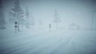 8 Hours Blizzard Sounds amp Howling wind  Winter Storm Sounds  Heavy Snowstorm [upl. by Selfridge]