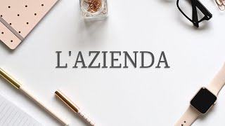 La Definizione di Azienda  Economia Aziendale per tutti [upl. by Duleba435]