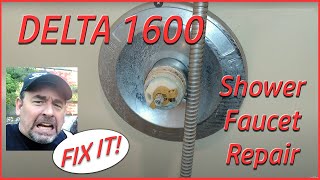 SHOWER DRIPPING How to Fix a Delta Shower Faucet leak Single Handle Universal Seals Delta 1600 [upl. by Noevad910]