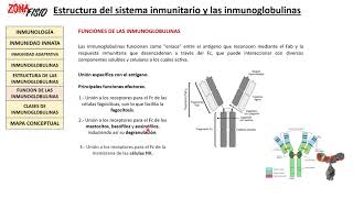 FISIOLOGÍA ESTRUCTURA DEL SISTEMA INMUNITARIO Y LAS INMUNOGLOBULINAS II [upl. by Adel]