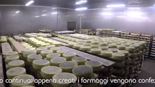 Video Aziendale Caseificio Tomasoni [upl. by Herzig]