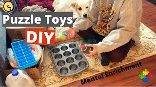 Brain Games for Dogs  DIY Puzzle Toys [upl. by Ewens982]