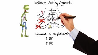 Pharmacology  ADRENERGIC RECEPTORS amp AGONISTS MADE EASY [upl. by Rock78]