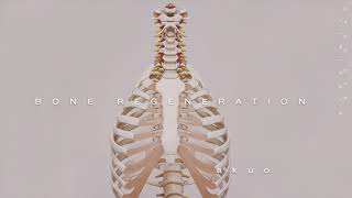 REGENERATE BONE ―∎ affirmations  Superhuman Skeletal System [upl. by Aitercul436]