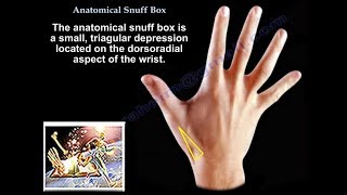 Anatomical Snuff Box  Everything You Need To Know  Dr Nabil Ebraheim [upl. by Eetsud]