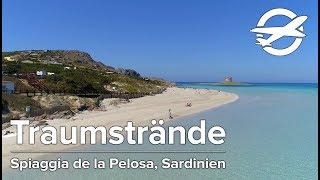 Spiaggia de la Pelosa ☀️ Die schönsten Strände auf Sardinien ☀️ [upl. by Yevoc474]