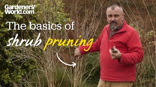 The basics of shrub pruning [upl. by Siusan]