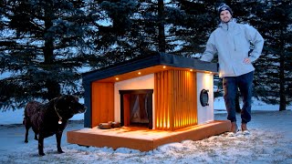 Building a HEATED DOG HOUSE for Canadian Winters [upl. by Bakerman69]