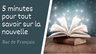 5 minutes pour tout savoir sur le genre littéraire de la nouvelle [upl. by Rehtae]