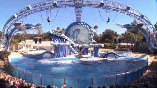 Blue Horizons  The Dolphins Show at Sea World Complete [upl. by Olnee945]