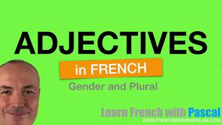 French adjectives Rules Masculine  Feminine [upl. by Wier]