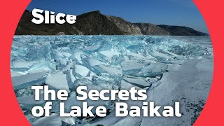 Lake Baikal A biological treasure trove  SLICE [upl. by Nosak337]