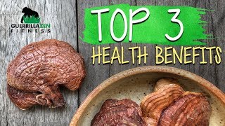 TOP 3 Health Benefits of Reishi Mushroom [upl. by Sikleb862]