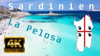 Sardegna  Sardinia  Sardinien  Italy  La Pelosa Beach  4K  DJI Mavic Pro 2 uncut [upl. by Juieta]