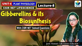 GIBBERELLIN AND ITS BIOSYNTHESIS PHYTOHORMONEPART8CSIR NET [upl. by Nnylakcaj]