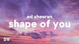 Ed Sheeran  Shape Of You Lyrics [upl. by Straus]